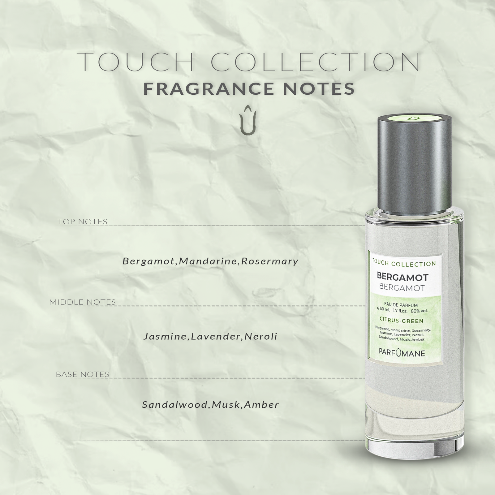 PARFUMANE ● Bergamot | Eau De Parfüm, Ferahlatıcı ve Canlandırıcı Bergamot Kokusu - BERGAMOT 50ml