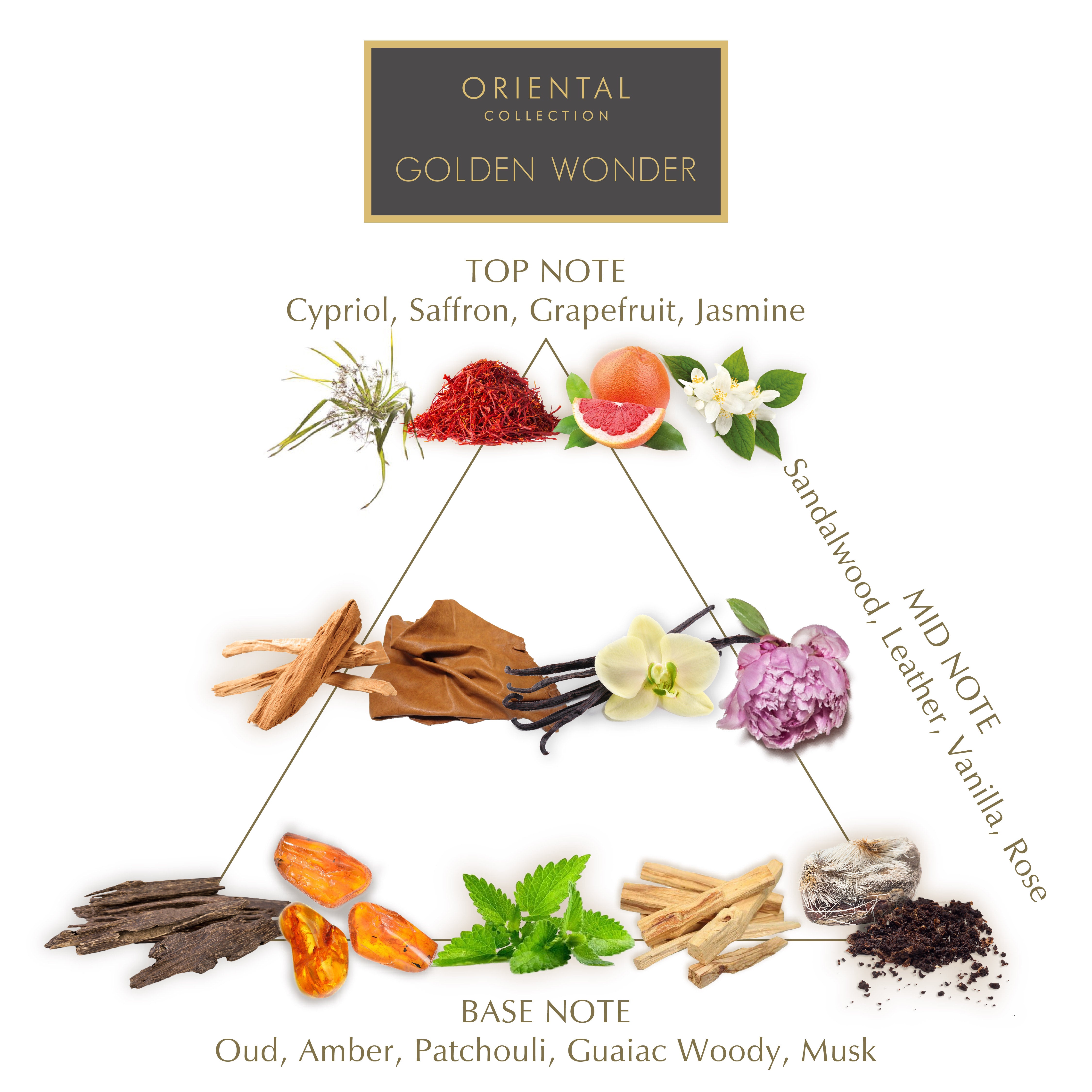 PARFUMANE ● Golden Wonder | Parfüm, Altın Işıltılı ve Prestijli Koku - GOLDEN WONDER PARFÜM 90ml EDP